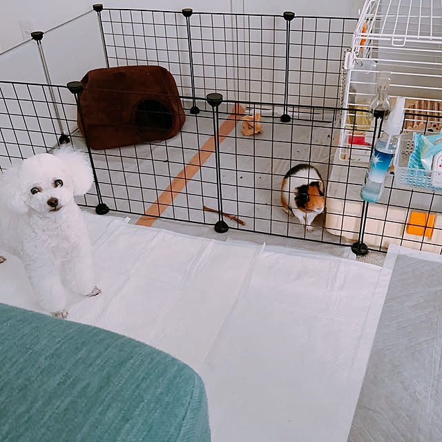 Mihoさんの部屋