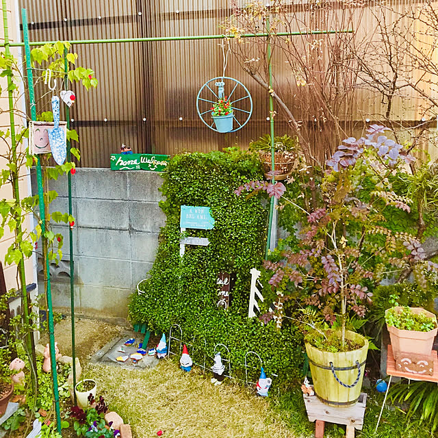 takakoの-草花の苗/つる性アブチロン：チロリアンランプ3-3.5号ポットの家具・インテリア写真