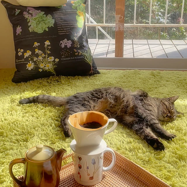 weさんの実例写真