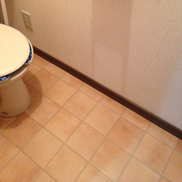 umiさんの実例写真