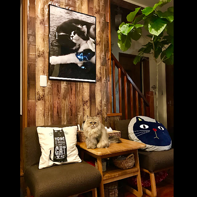 butachanさんの実例写真