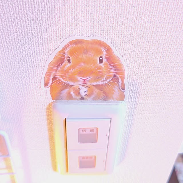 mariaさんの実例写真