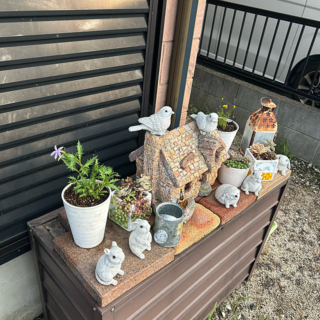 ritsukoさんの部屋