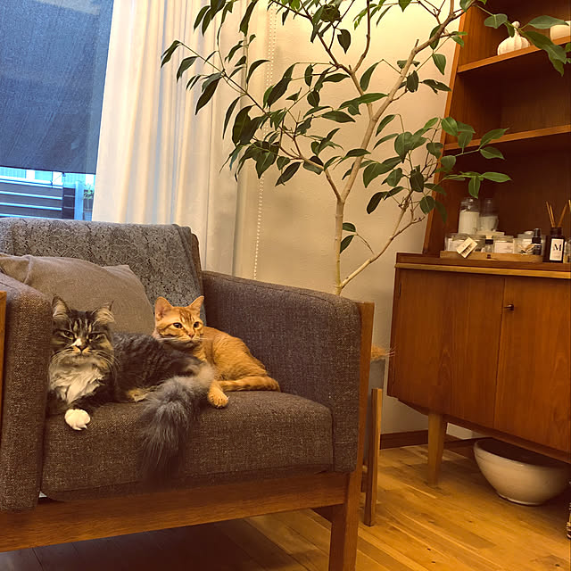 Hisashiさんの実例写真
