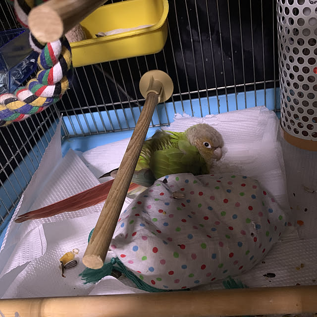 nanaさんの実例写真