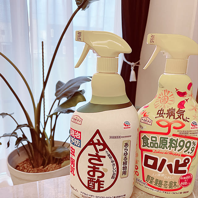 comonaさんの実例写真