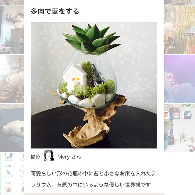 Meryさんの実例写真