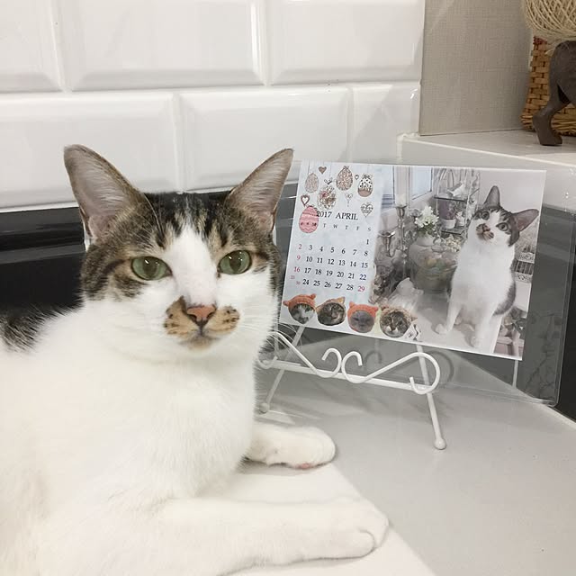 yuchiさんの実例写真