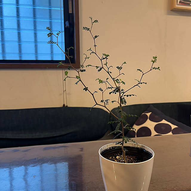 Epice.reiさんの部屋