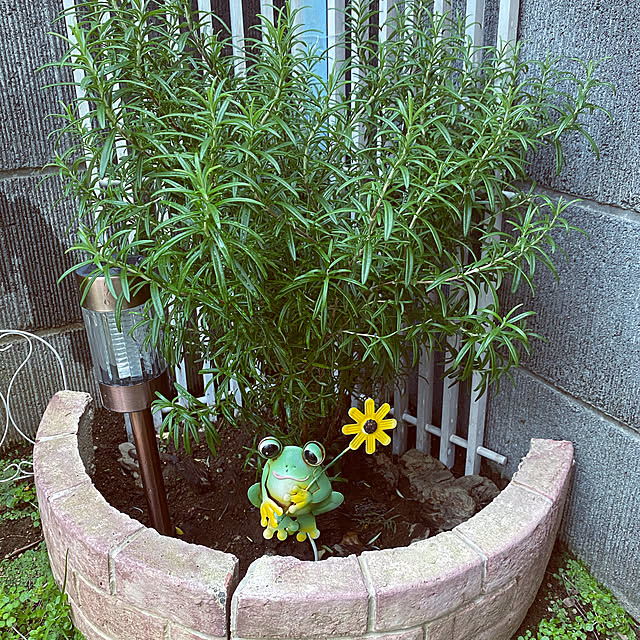 YuuKoさんの実例写真