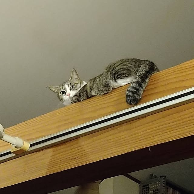 sakai0531cさんの部屋