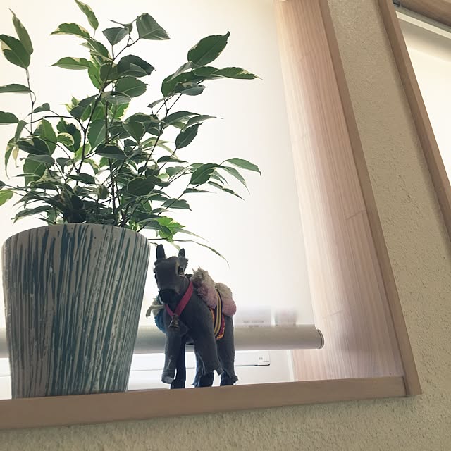 Camelliaさんの実例写真