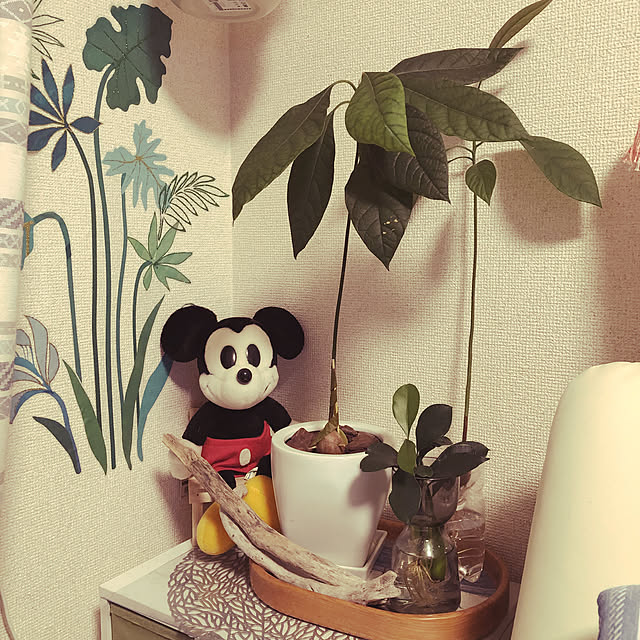 mikenekoさんの実例写真