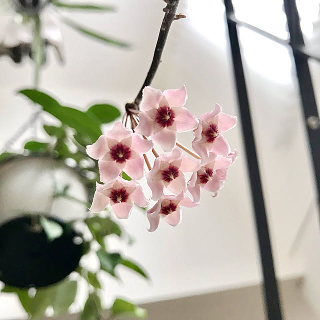 hm_myhomeさんの実例写真