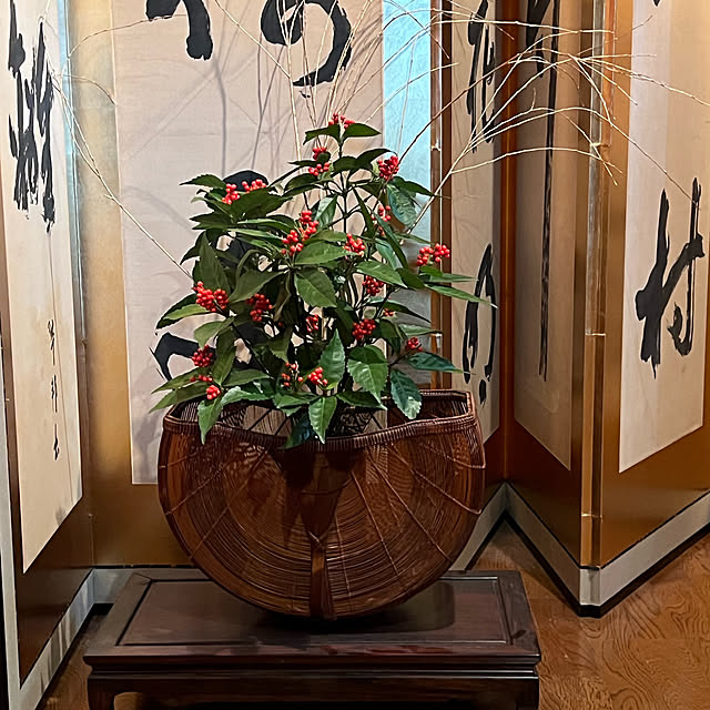 shiyanさんの実例写真