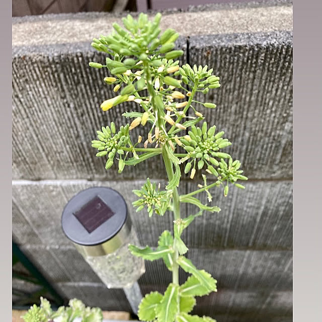 YuuKoさんの部屋