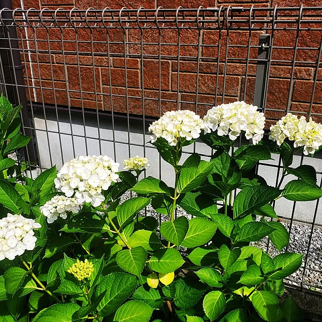 LEAFさんの部屋