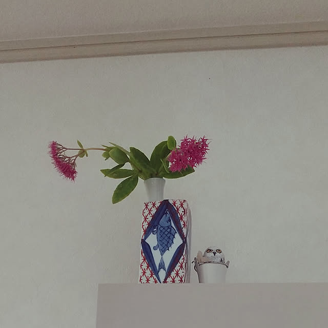 Renさんの実例写真
