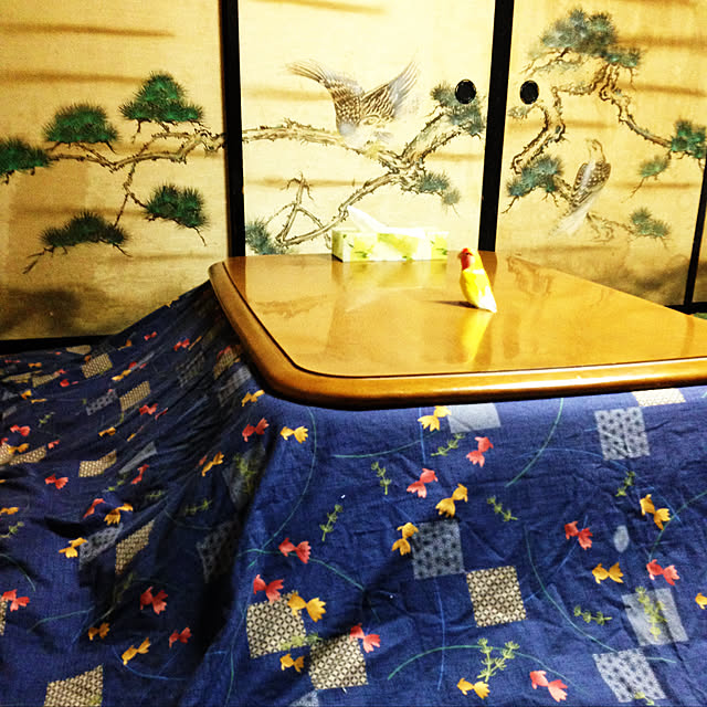 aoinokimiさんの実例写真