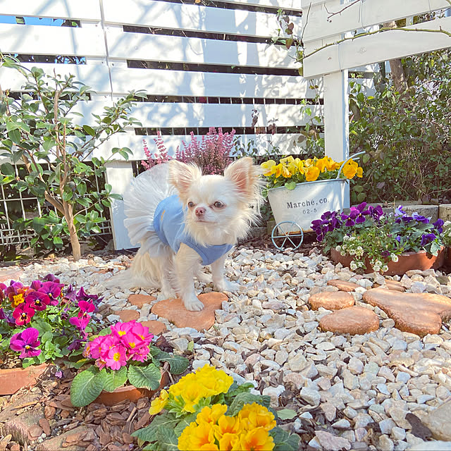 実例写真