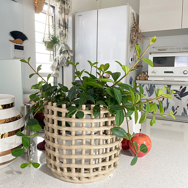 naoさんの部屋