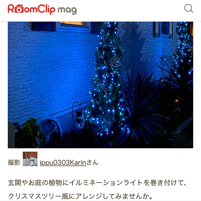 コニファー エレガンテシマ/掲載ありがとうございます♡/コニファー クリスマスツリー/RoomClip mag 掲載/RoomClip mag...などのインテリア実例 - 2021-12-06 19:54:47