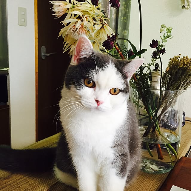 yunさんの実例写真