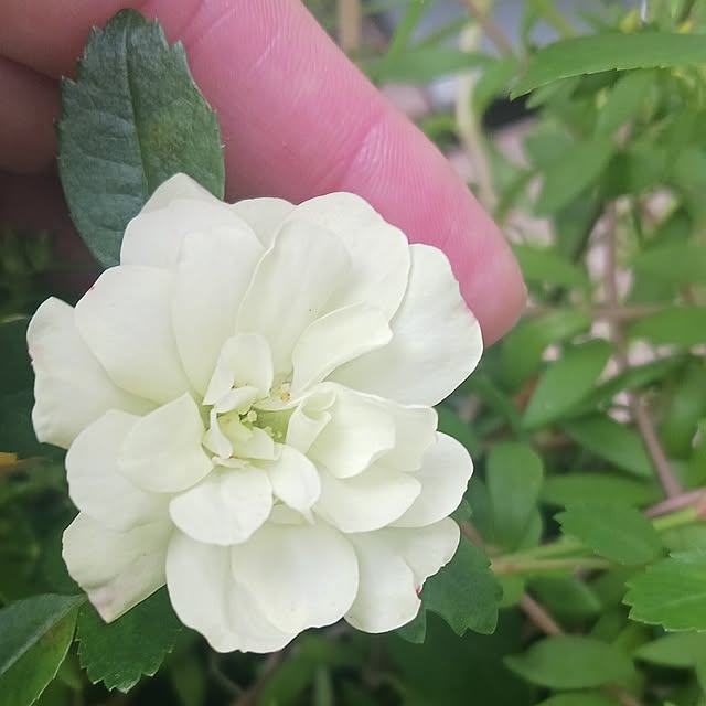 aiさんの部屋
