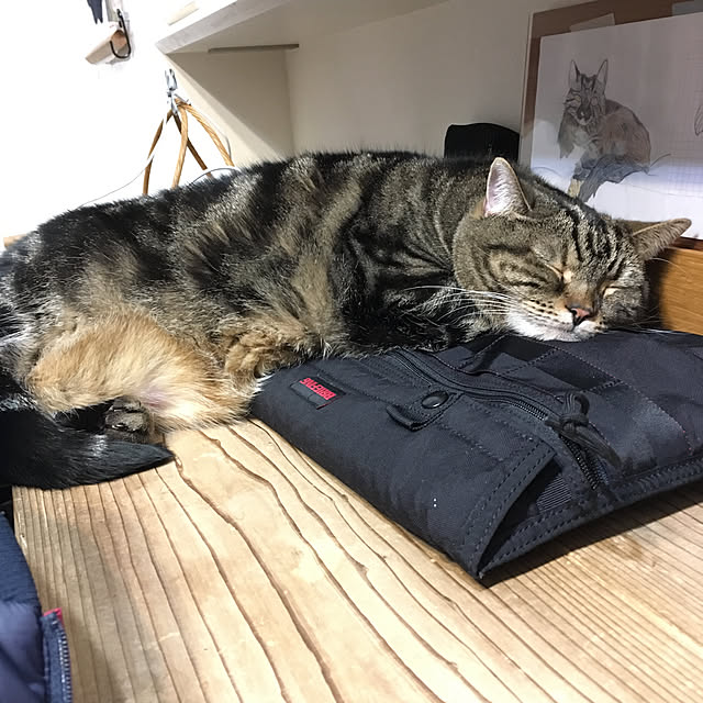 mikomaruさんの実例写真
