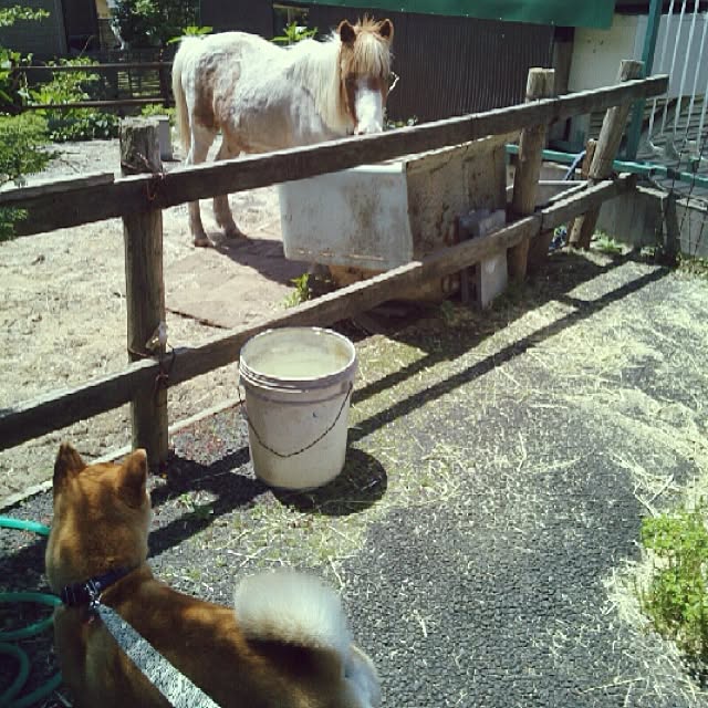 kotaさんの実例写真