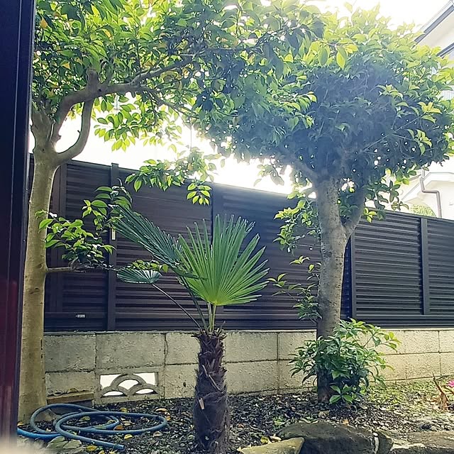 okube-さんの部屋