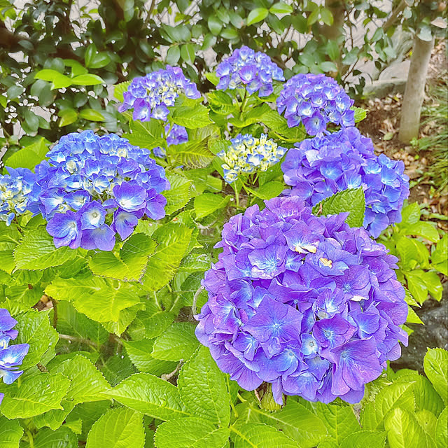 cloversさんの実例写真