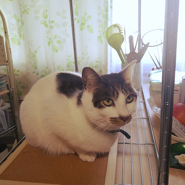 tenさんの実例写真