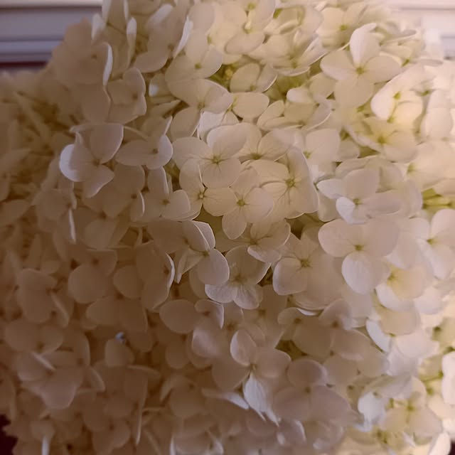yachukoさんの部屋