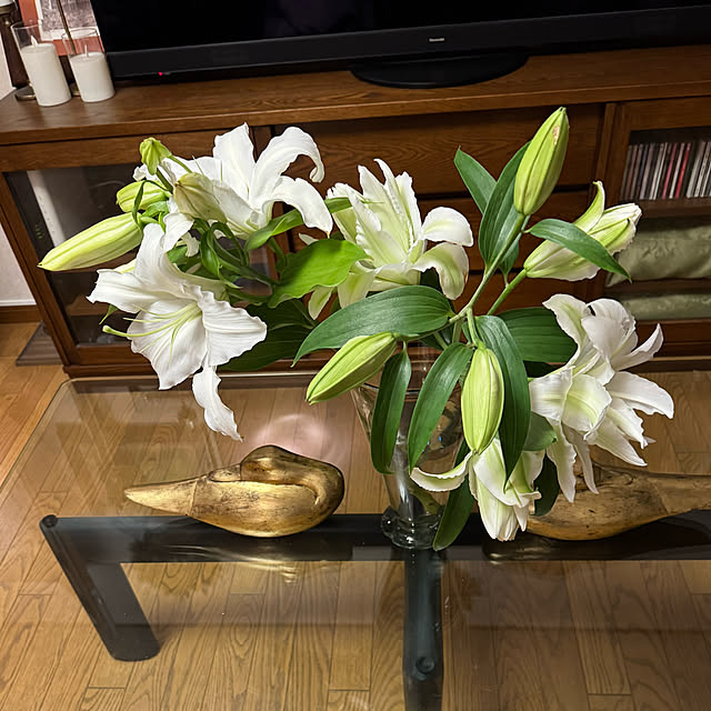 mamizaさんの部屋