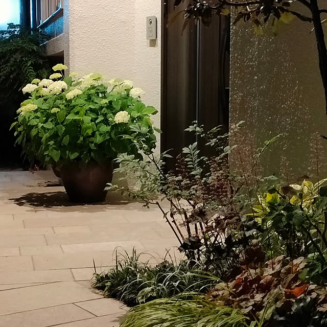 hana-さんの部屋