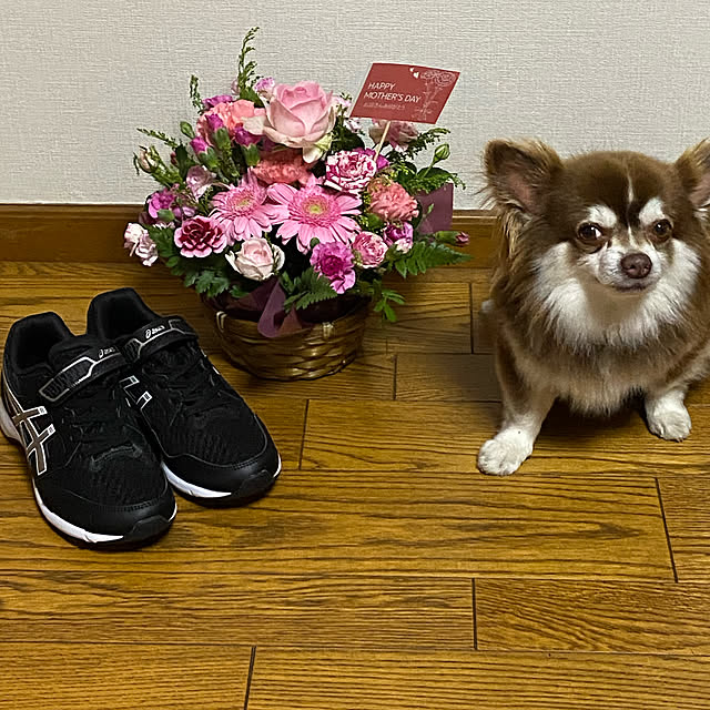 chIoeさんの実例写真