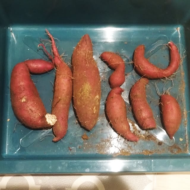 NAOKIさんの実例写真