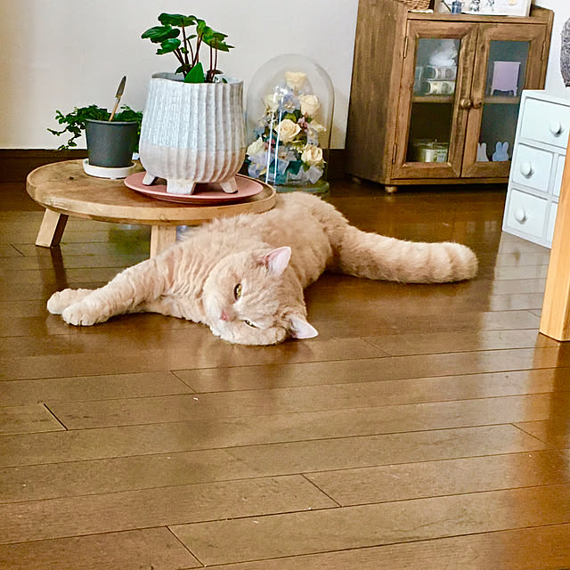 naokoさんの部屋