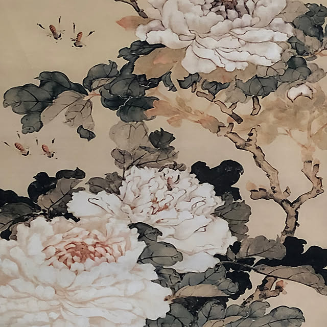 Toruさんの部屋