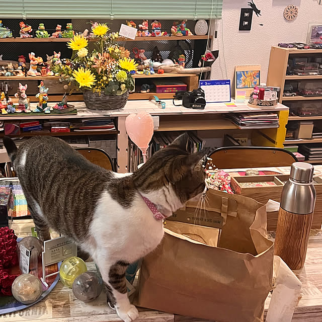 jijiさんの実例写真