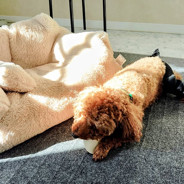 MOMOMAMAさんの部屋