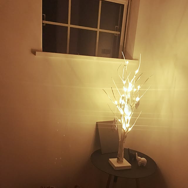 m_y_tさんの実例写真