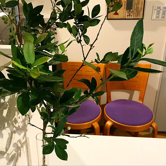 DECO_NAKATANIさんの実例写真