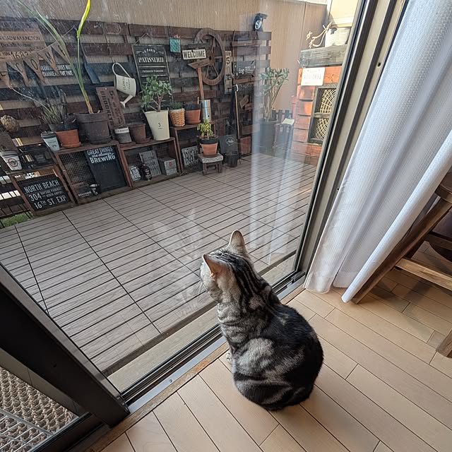 lovepeaceさんの部屋