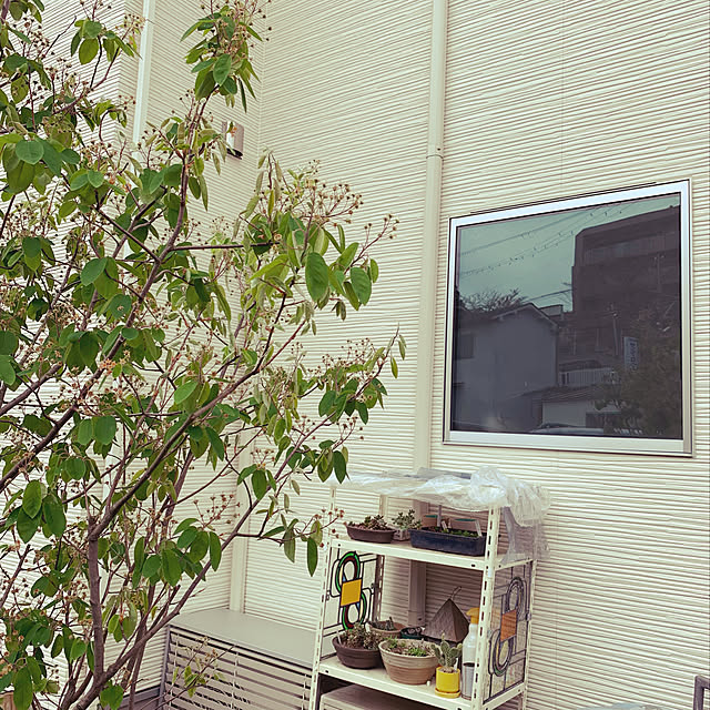 miyabiさんの実例写真