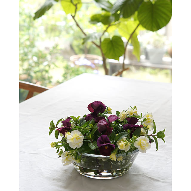 noriflowerさんの部屋