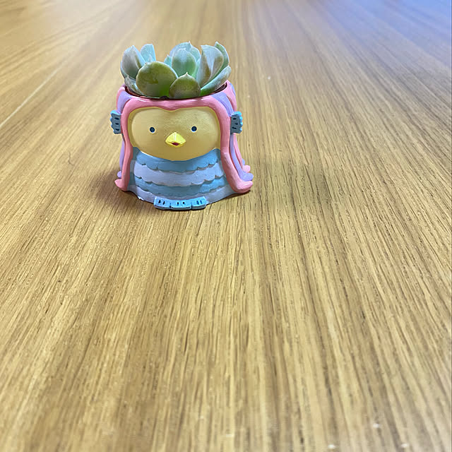 yumiさんの実例写真
