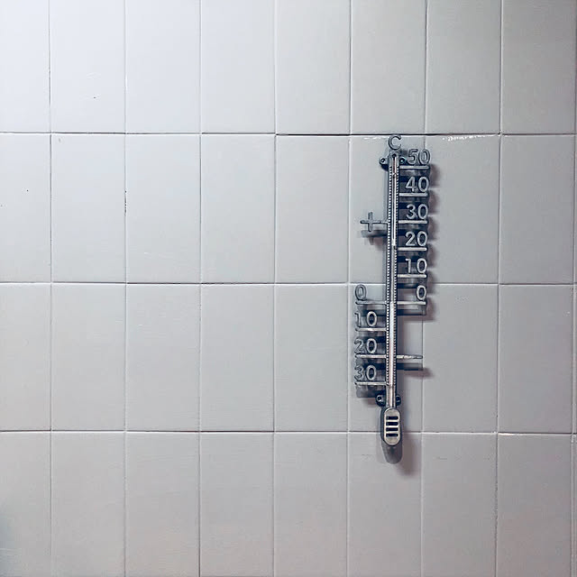 aiszhaneさんの実例写真