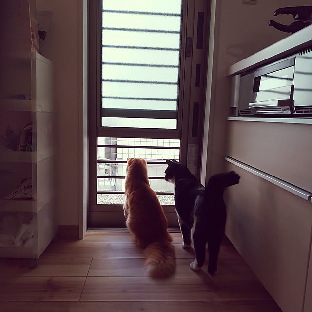 asu3728さんの実例写真